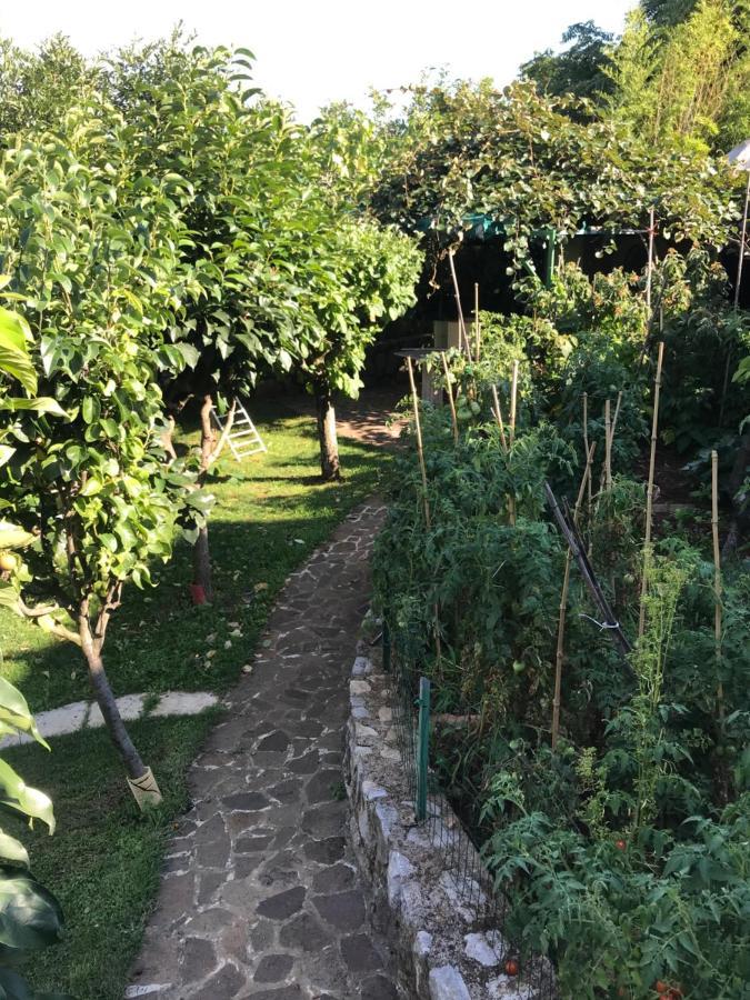 Studio Apartman Lavanda Matulji Εξωτερικό φωτογραφία